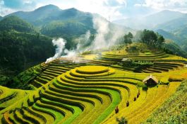 Diễn đàn Kinh tế Việt Nam lần thứ 5 diễn ra ngày 17/12